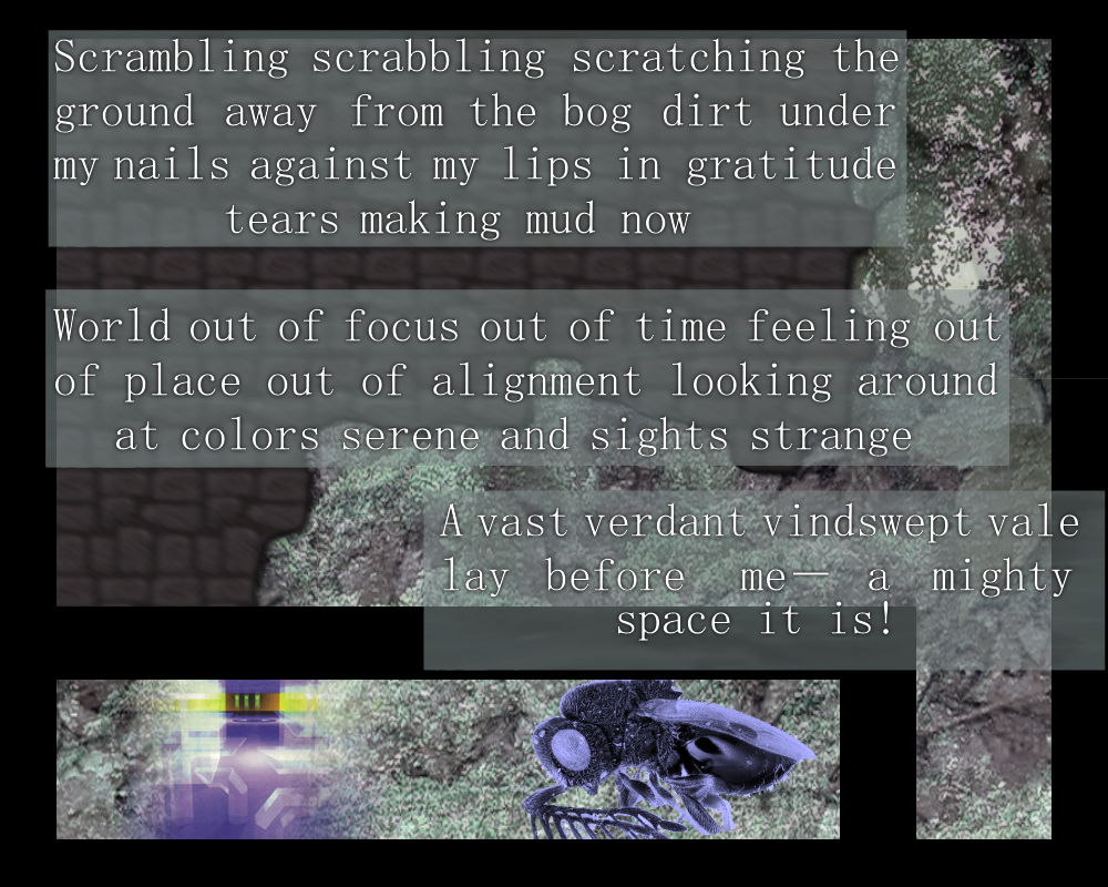 Scrambling scrabbling scratching the ground away from the bog dirt under my nails against my lips in gratitude tears
making mud now
World out of focus out of time feeling out of place out of alignment looking around at colors serene and sights strange
A vast verdant vindswept vale lay before me—a mighty space it is!